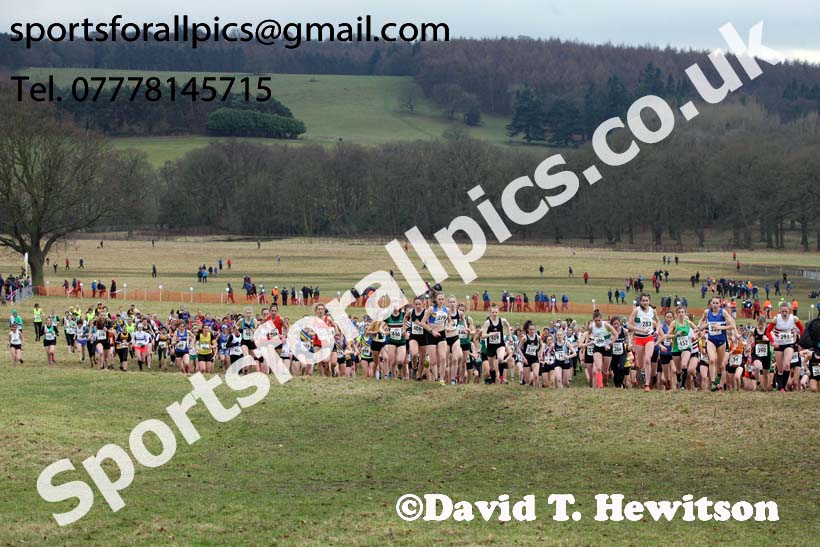 Senior women, 2018 Northern Cross Country Champs., Harewood House, Leeds. Photo: David T. Hewitson/Sports for All Pics